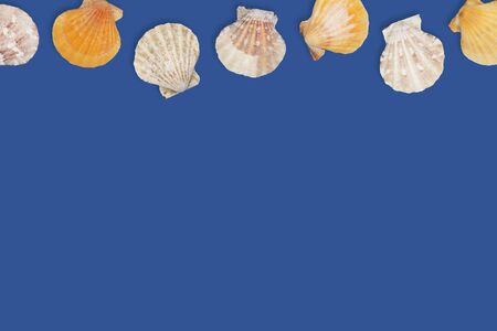 Sea pattern with sea shells, top view, flat lay. Summer concept. Different sea shells on blue navy...