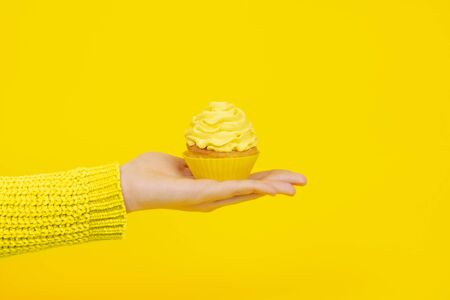 Tasty cupcake on female hand on a yellow background. Monochrome festive concept with cupcake and...