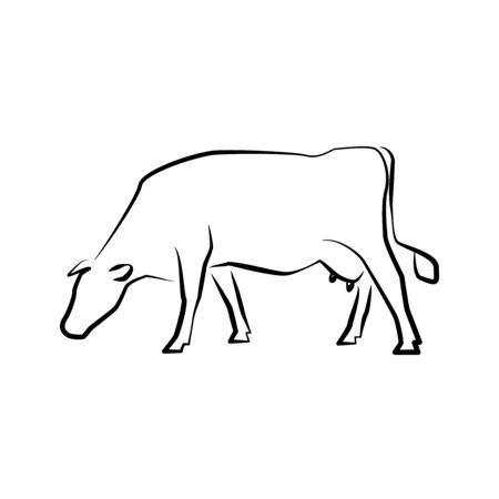 Cow icon. Outline vector illustration. Hand drawn style. Farm animals. Logo of Grazing cow.のイラスト素材