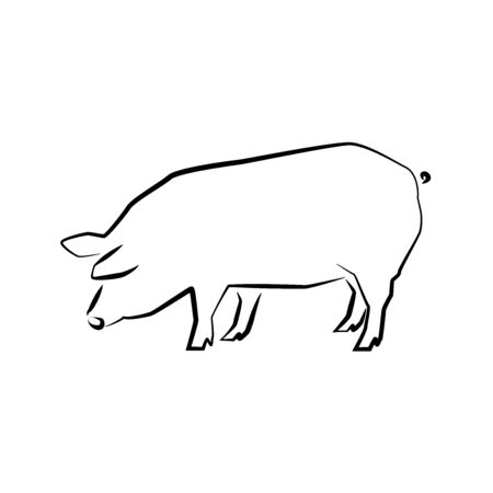 Pig icon. Outline vector illustration. Hand drawn style. Farm animals. Logo of pig full length isolated on white.のイラスト素材