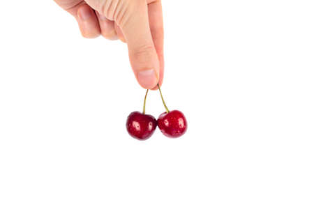 Hand holds two sweet cherries isolated on white background. Summer berry horizontal banner