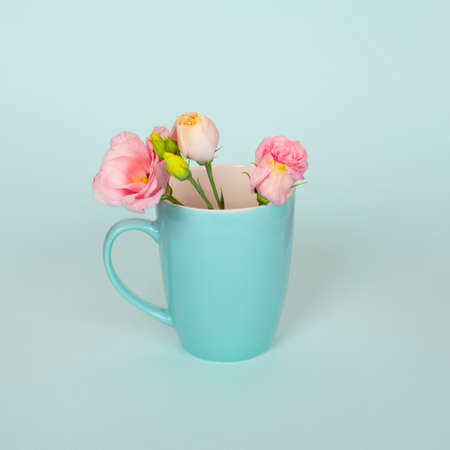 Creative concept made of coffee or tea cup with tender pink Eustoma flowers. light blue or turquoise background. Pink Eustoma flowers in the blue cupの写真素材