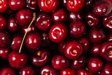 Top view on rape cherry background. Close up on summer food banner with cherry background.の写真素材
