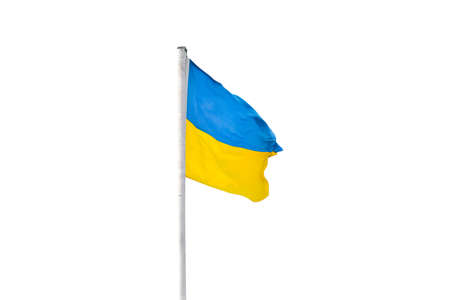 Flag of Ukraine or Ukrainian flag isolated on white background.の写真素材