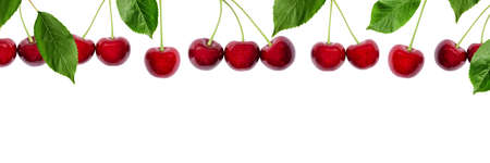 Ripe red sweet cherry and green leaves isolated on white background. Long summer Banner with copy...