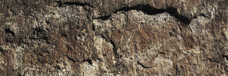 A close up of a rough, cracked rock surface with earthy brown and beige tones. The natural texture and weathered details make it ideal for backgrounds, geology themes, and organic material references.の写真素材