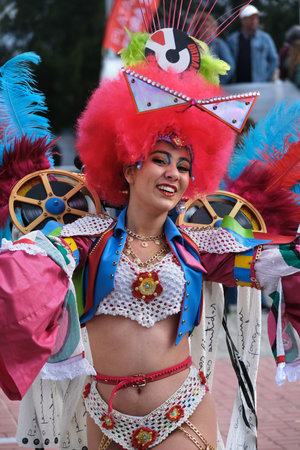 Estarreja, Portugal - 03.03.2025: Traditional annual Estarreja samba carnival in Portugal. Costume...