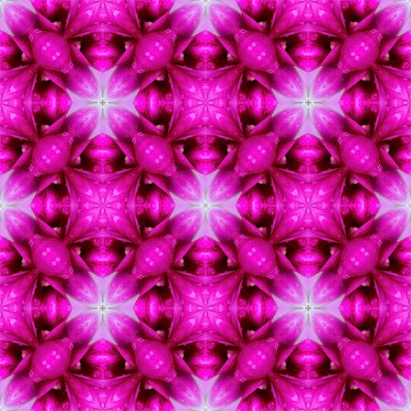 water lilly  for background,tiles or textureの写真素材