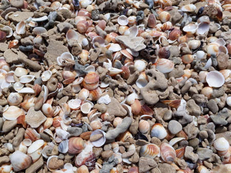 Texture background