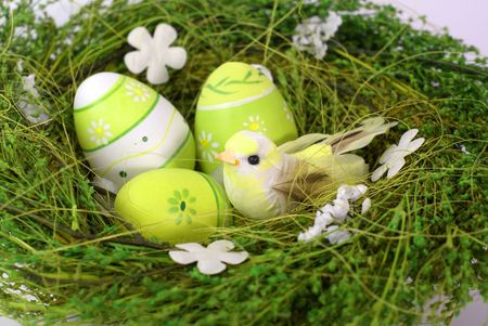 green nest with toy bird and eastereggs                
