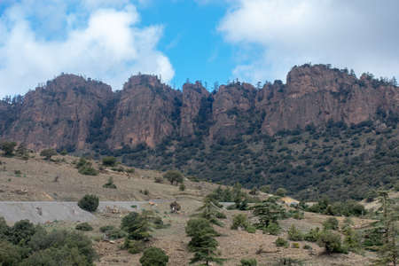 Belezma Nationa park in the Aures region in Batna, Algeriaの写真素材