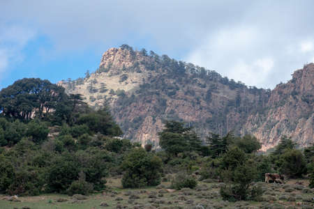 Belezma Nationa park in the Aures region in Batna, Algeriaの写真素材
