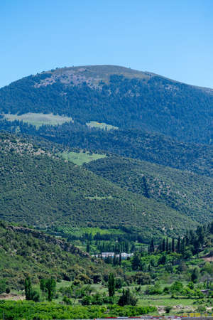 Scenic view from Chelia national park, in the Aures mountains, Algeria. Blue Atlas Cedar (Cedrus Atlantica) natural habitatの写真素材