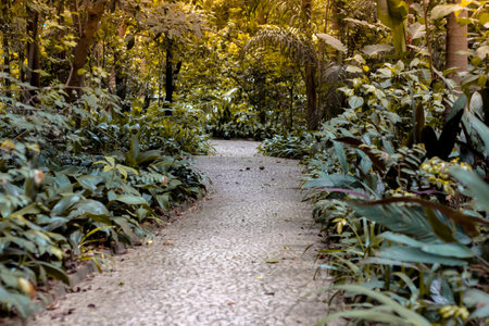 A little way to go in the park