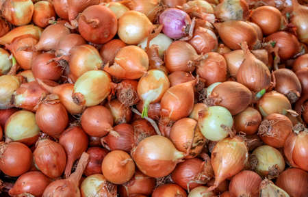 Basket of Onionsの写真素材