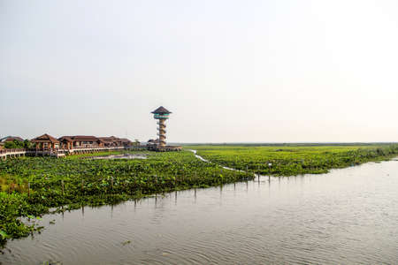 Thale Noi Waterfowl Park, Phatthalung, Thailand