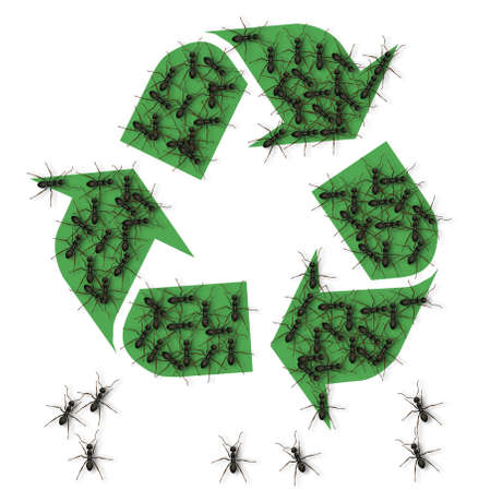 a number of black ants forming recycle symbol shape with their bodiesの写真素材