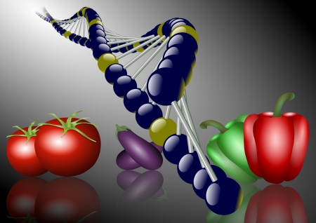 a group of different kinds of vegetables and DNA chainの写真素材