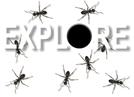 a group of black ants coming out from a hole and wandering around word exploreの写真素材