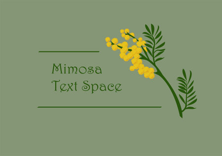 Botanical floral emblem in minimalist style with plant elements. Frame with mimosa branch drawn by lines Vector illustration with empty space fot text.のイラスト素材