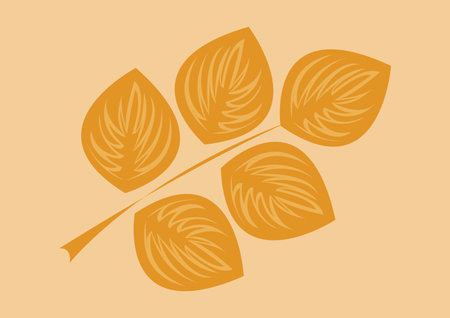 Image of a branch with leaves, stylized as a latte. Vector image isolated on a beige background for a coffee shop, shop, advertising, tasting.のイラスト素材