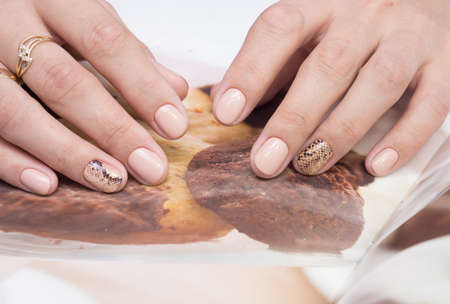 Beautiful woman's hands. Natural nails and manicure. Spa procedure.の写真素材