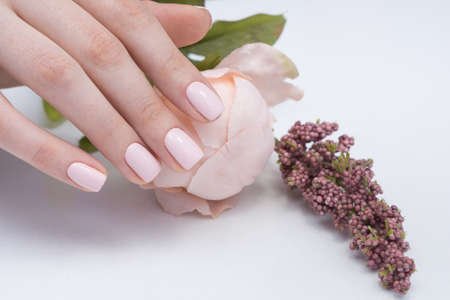 Beautiful manicure and nail art. Natural nails and gel polish.の写真素材
