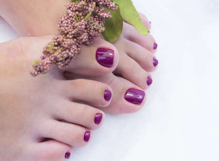 Women's feet with amazing pedicure. Nails with gel polish applied.の写真素材