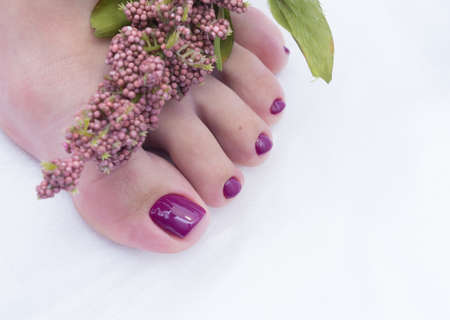 Women's feet with amazing pedicure. Nails with gel polish applied.の写真素材