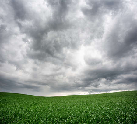 Storm in the field. Beautiful dramatic landscape with heavy dark cloudsの写真素材