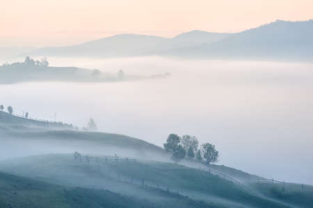Foggy sunrise with forest and mountain silhouettes. Warm summer nature background. Captured near one of the village in Carpathian mountains, Ukraine.の写真素材