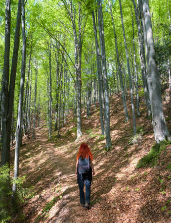 Red-haired young woman with backpack enjoying her trail in the green spring forest. Active life concept.の写真素材