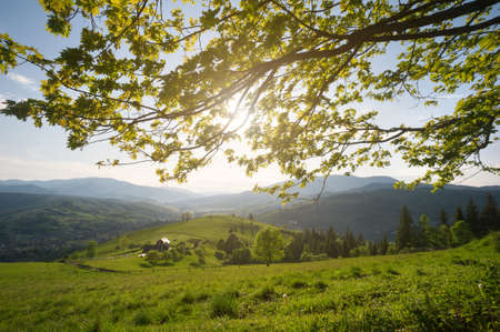 View at the mountain village, pasture and wooden house through fresh green leaves of the maple tree and rays of the sun. Carpathian mountains, Ukraine.の写真素材