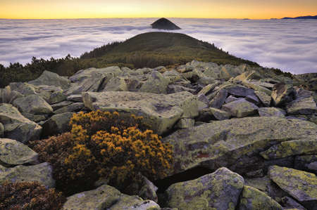 Beautiful foggy morning in the mountains. Gorgeous view at the summit above the skies.の写真素材