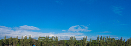 Kediri, Indonesia - June 22, 2018 : Blue sky above the forest.のeditorial素材