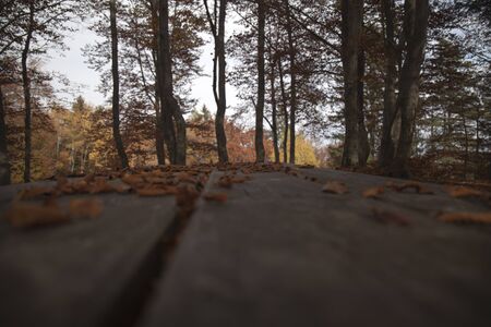 mountain bench