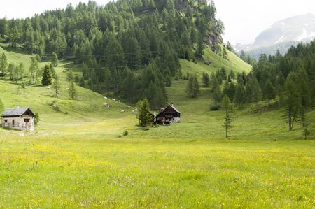 deveroの写真素材