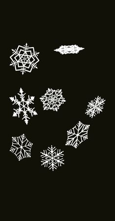 Snowflakes ovelray snowflakes and snowingの写真素材