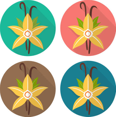 Colorful flat icons: vanilla flower. Spicesのイラスト素材