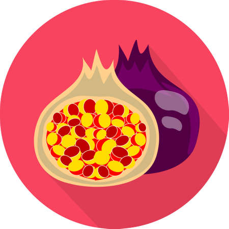 Juicy fig. Colorful flat iconのイラスト素材