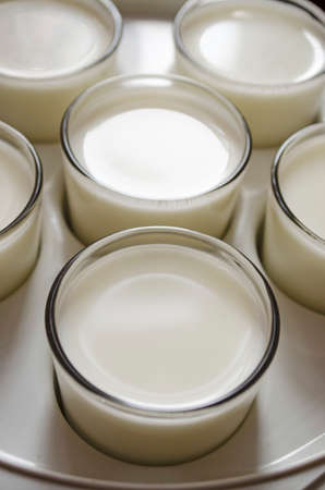 Natural bio yogurt in the glass, top view. Process of making yogurt. Healthy food and lifestyle....