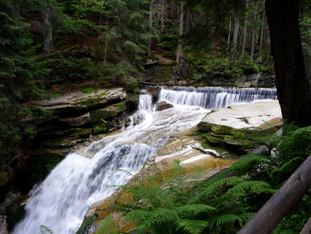 Forest waterfallの写真素材