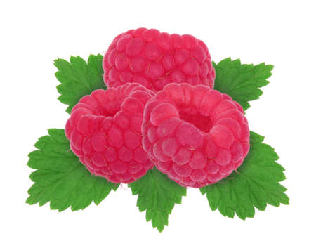 Raspberries with leaves isolated on white