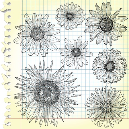 Sketches of blooms on squared paper のイラスト素材