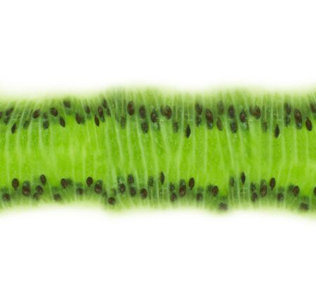 Kiwi slice texture with white space for textの写真素材