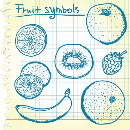 Fruit sketches のイラスト素材