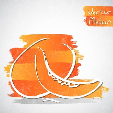 Vector illustration of melonのイラスト素材