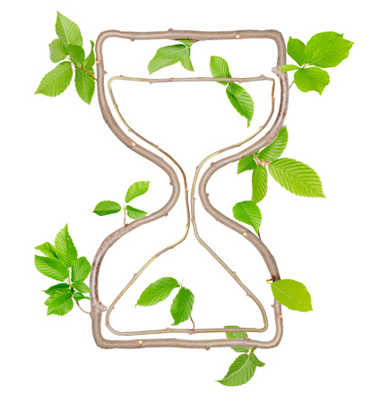 Plants with leaves forming hourglass isolated on white
