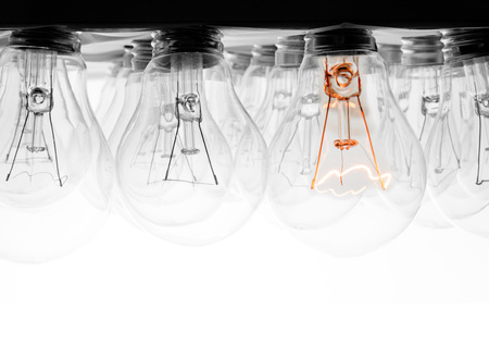 Photo of light bulbs in rows with shining one of them on white background; concept of standing out, uniqueness and ideaの写真素材