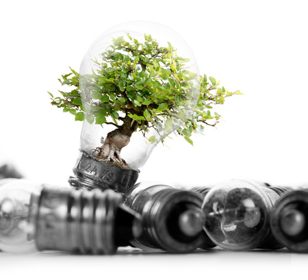 Photo of light bulb heap with tree on white background; concept of ecology, power saving, standing out, uniqueness and innovationの写真素材